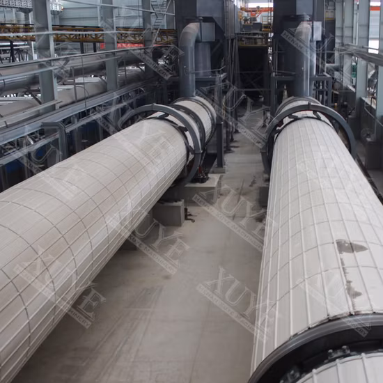 Small Industrial Biomass Grain Rotary Drum Dryer for Sale
