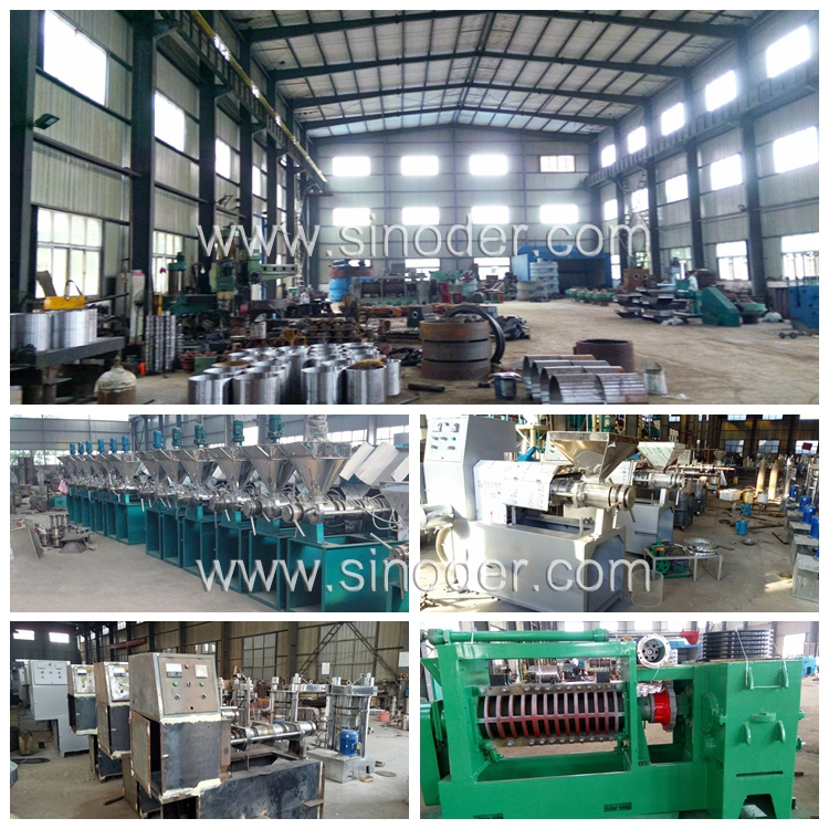 Corn Oil Press Machine Cotton Seed Oil Mill