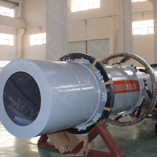 Small Industrial Biomass Grain Rotary Drum Dryer for Sale